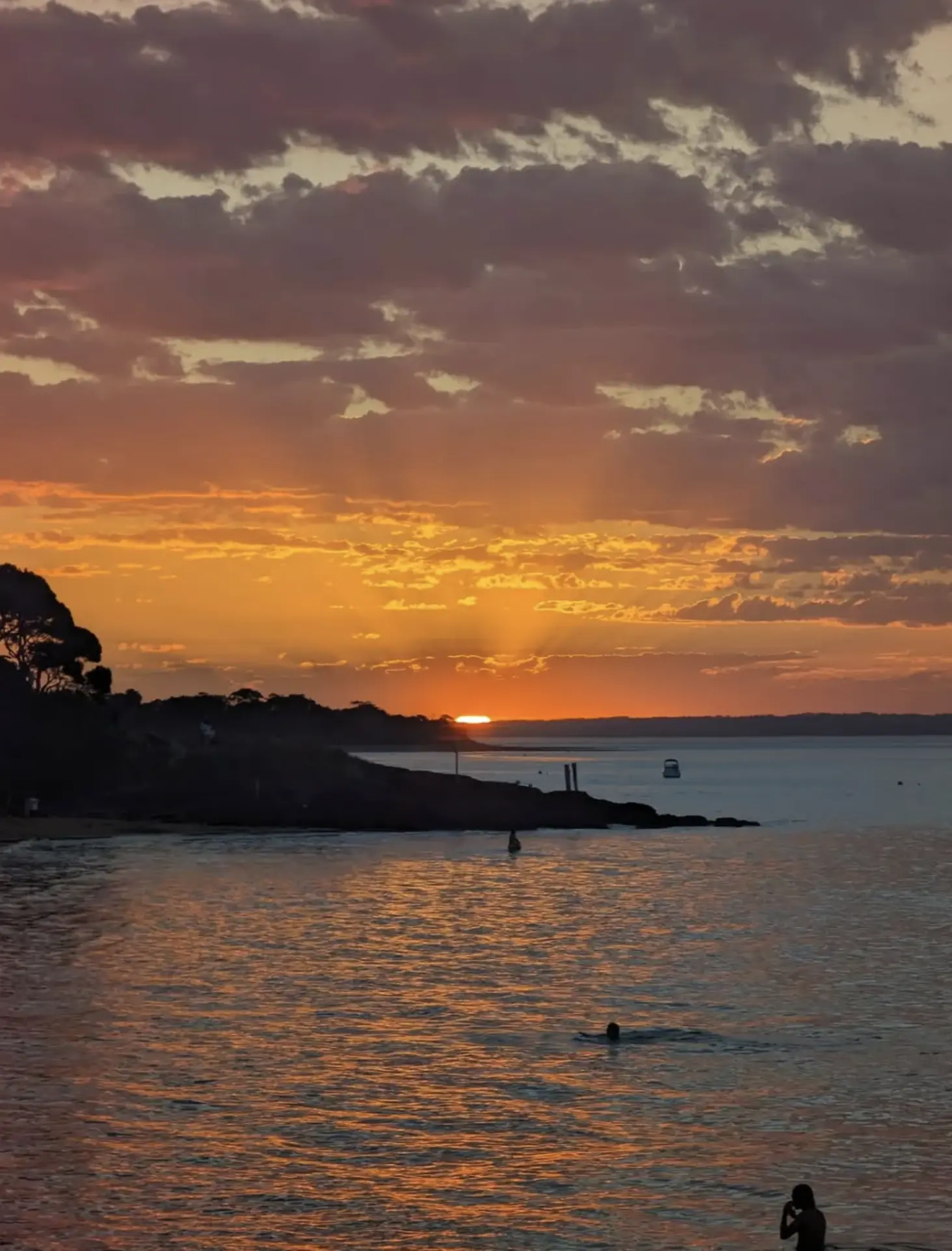Phillip Island